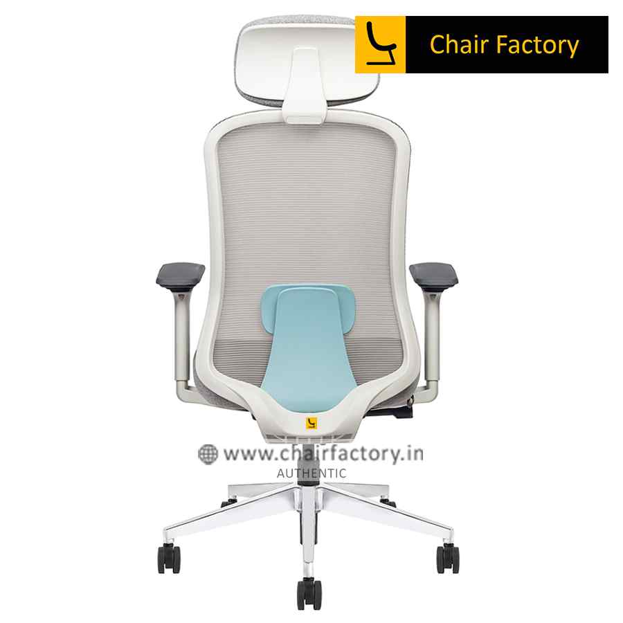 Blue Cosmos High Back Ergonomic Chair Cushion Seat
